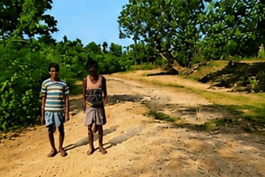 Tribal Development